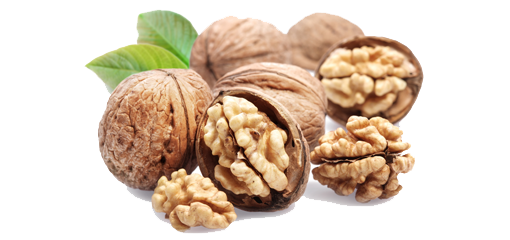Walnut File Transparent PNG Image