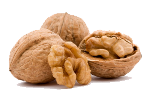 Walnut Transparent PNG Image
