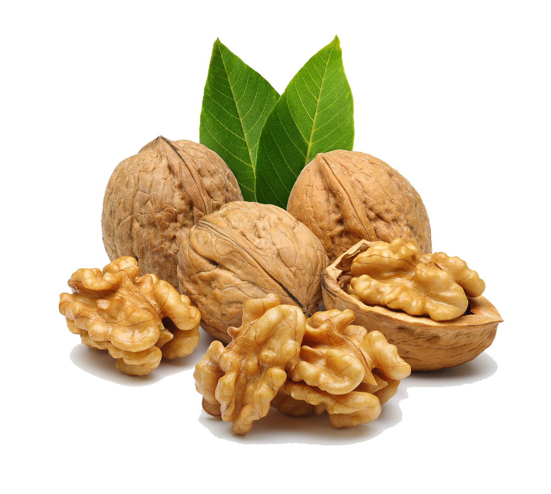 Walnut Transparent PNG Image