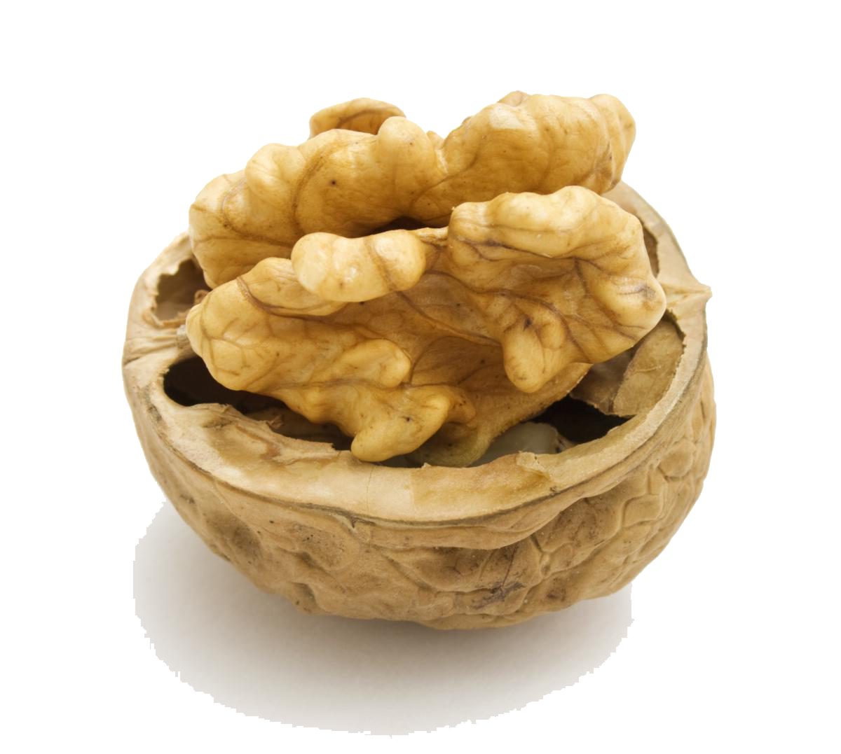 Walnut Transparent PNG Image
