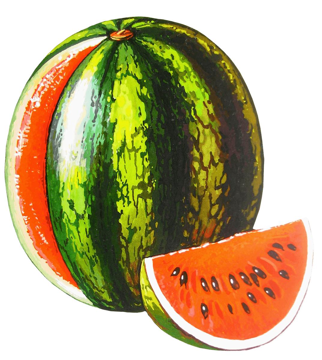 Watermelon Transparent PNG Image