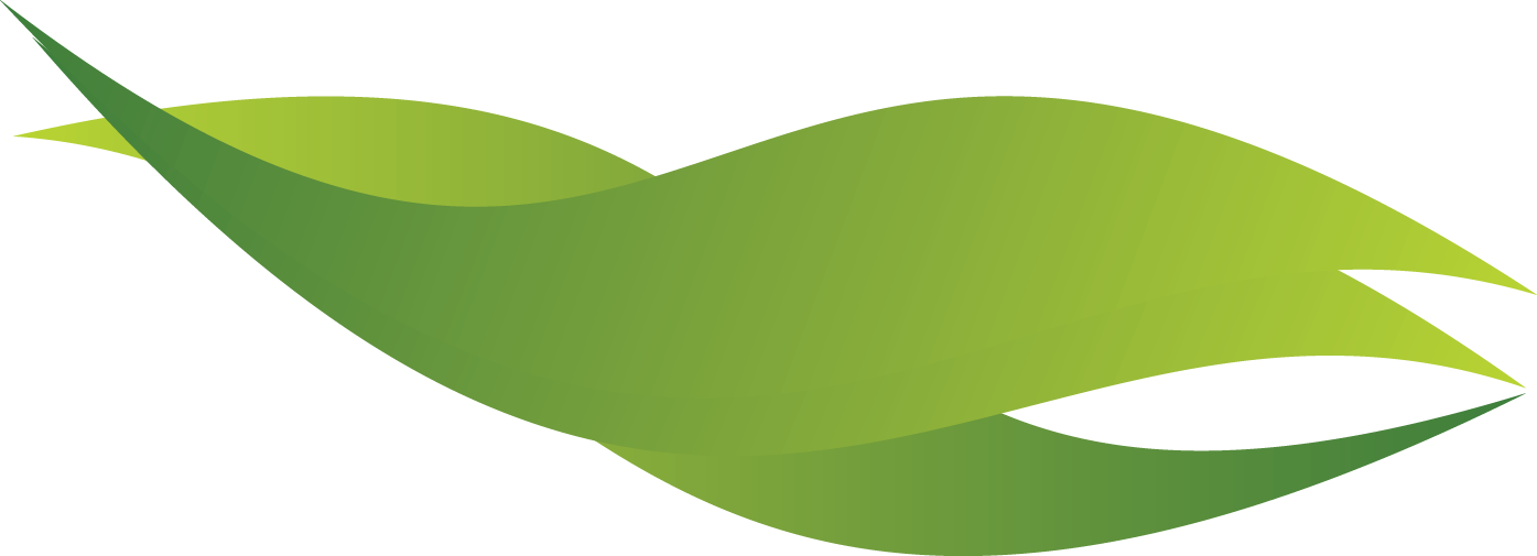 Green Wave Transparent PNG Image