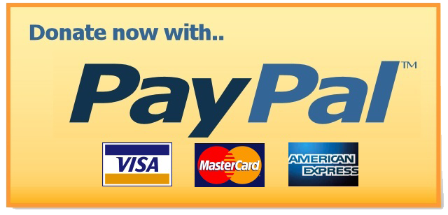 Paypal Donate Button Transparent PNG Image