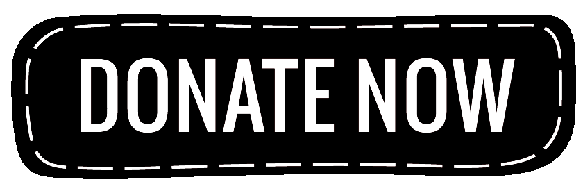 Paypal Donate Button Transparent PNG Image