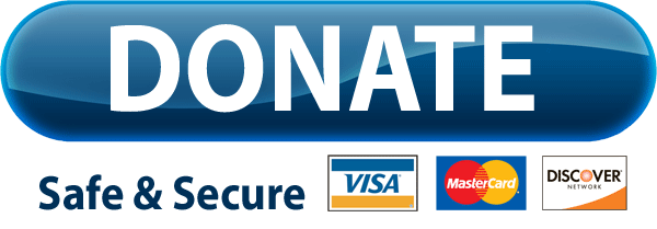 Paypal Donate Button Transparent PNG Image