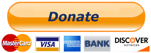 Paypal Donate Button Transparent PNG Image