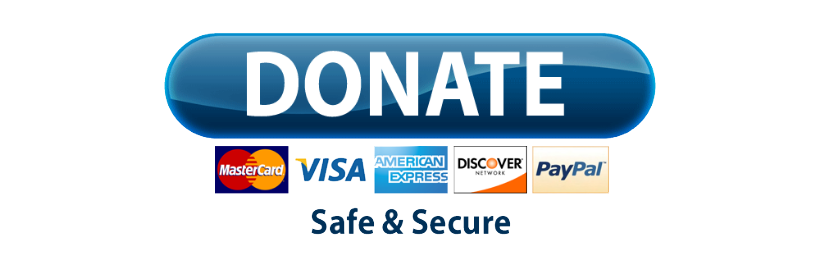 Paypal Donate Button Transparent PNG Image