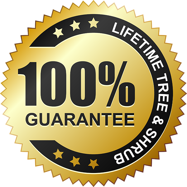 Guarantee Transparent PNG Image