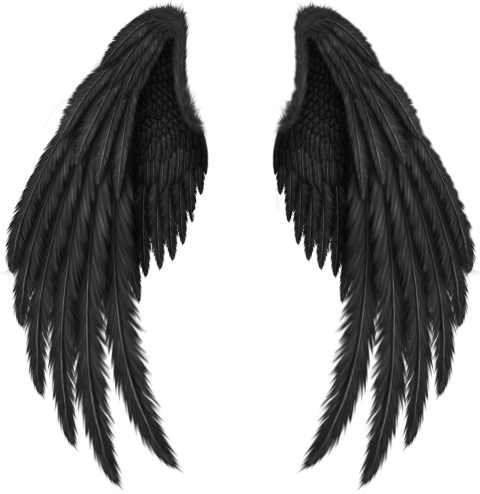 Others Transparent PNG Image