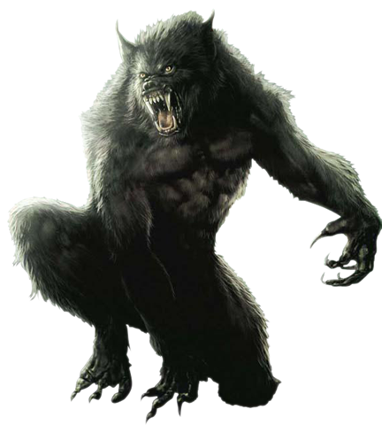 Werewolf Background Transparent PNG Image