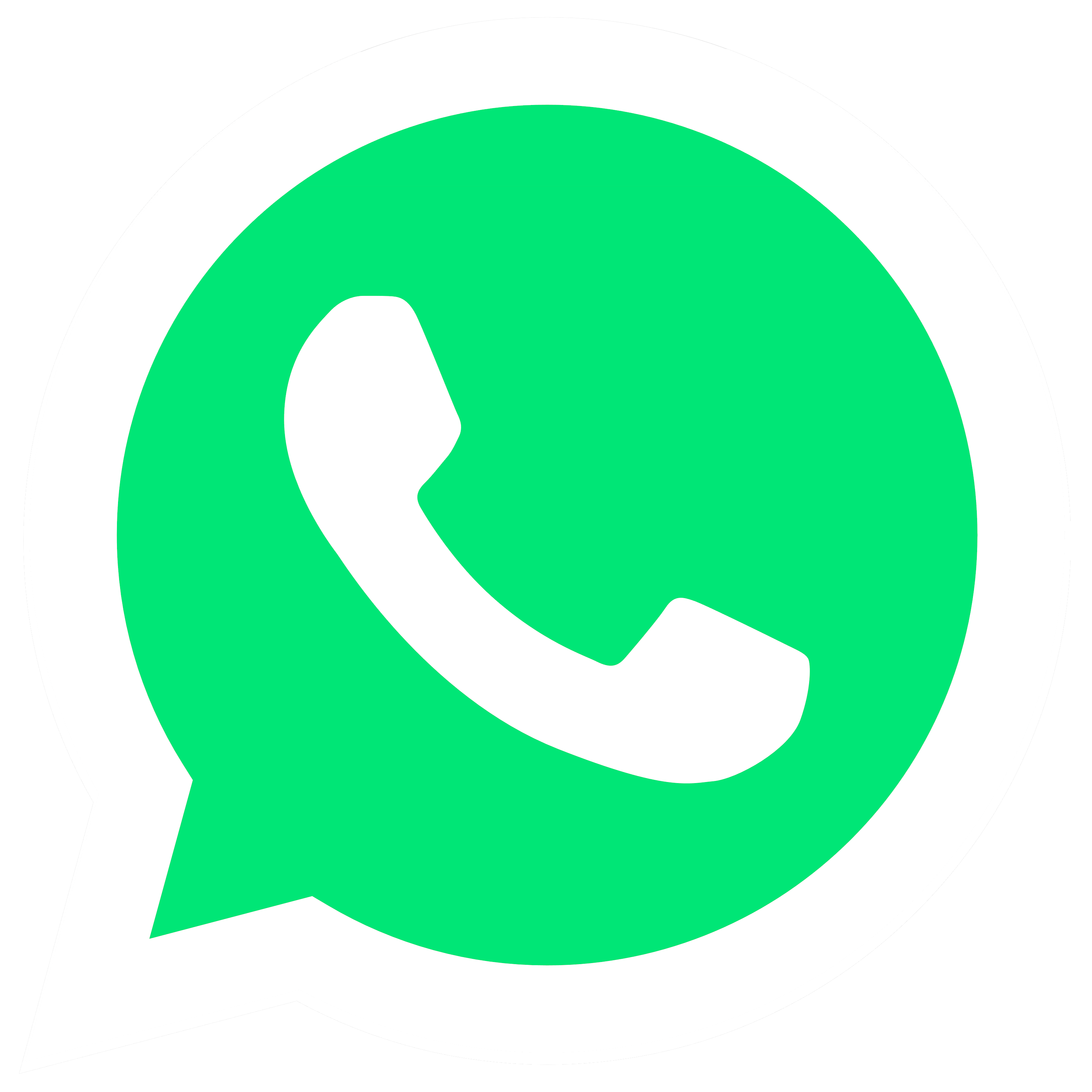 Zubees Icons Foods Computer Halal Logo Whatsapp Transparent PNG Image