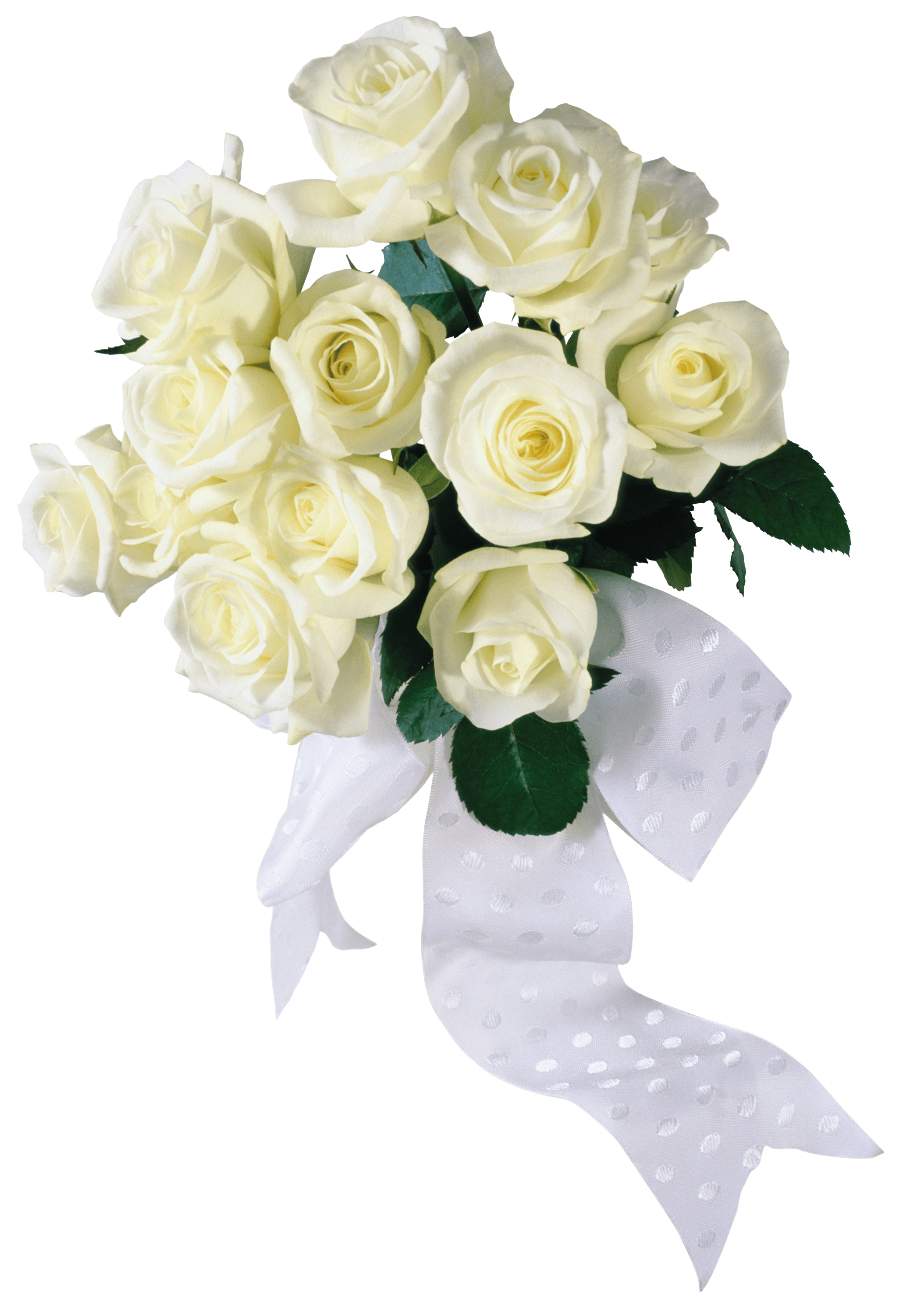 White Roses Transparent PNG Image