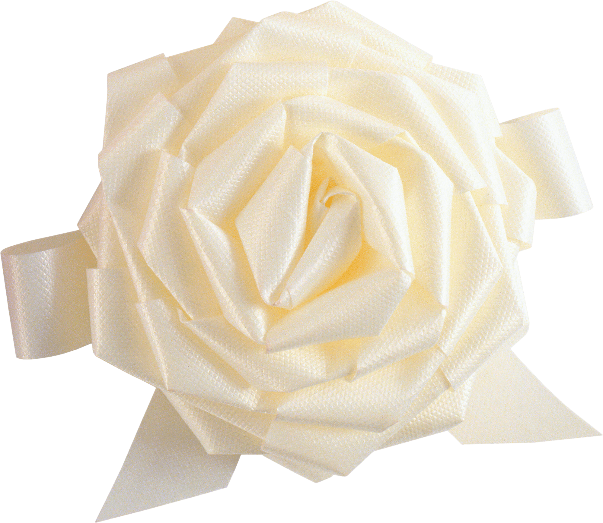 White Rose Flower White Rose Transparent PNG Image