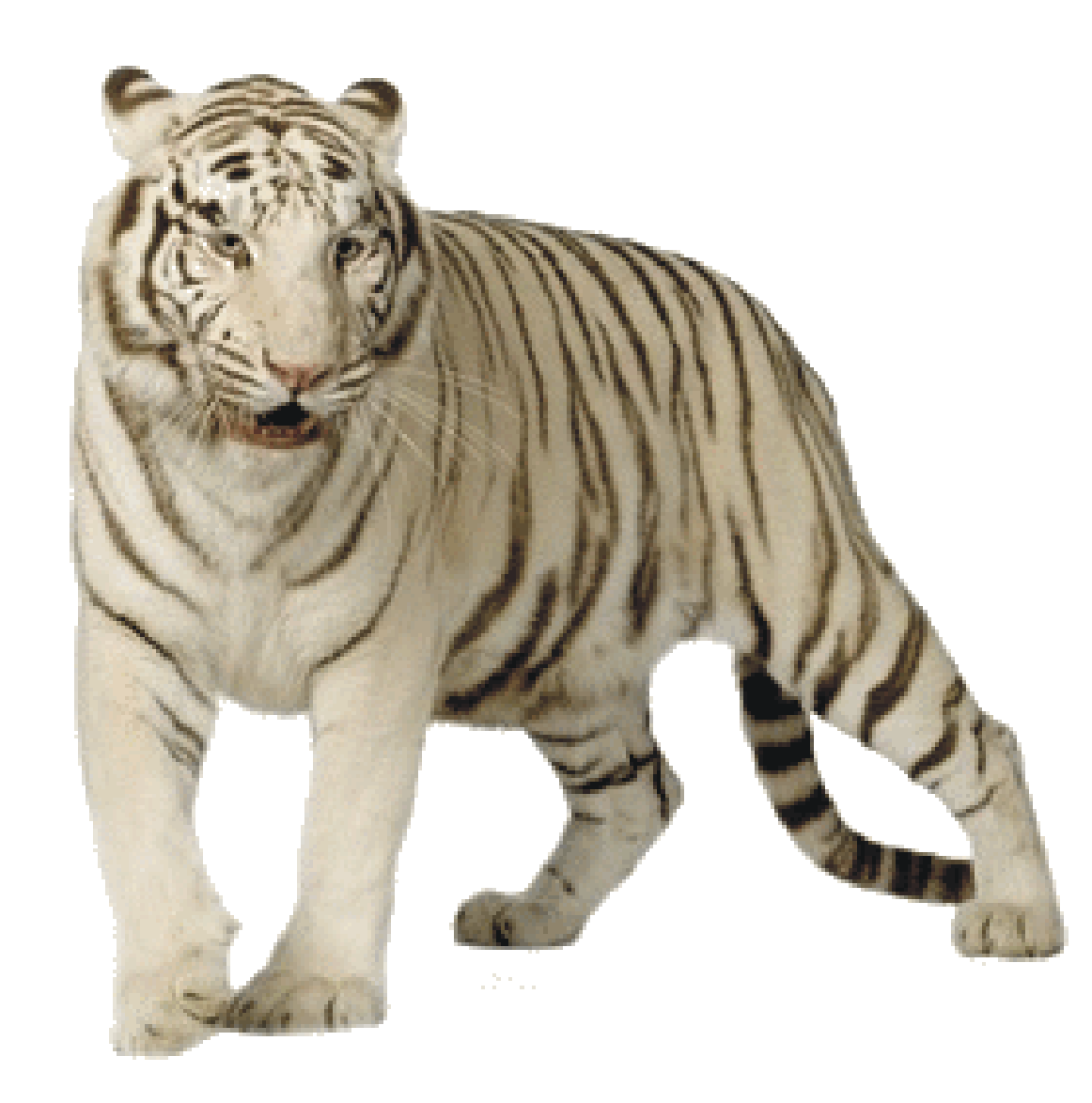 White Tiger Transparent PNG Image