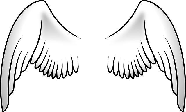 Angel Halo Wings Transparent PNG Image