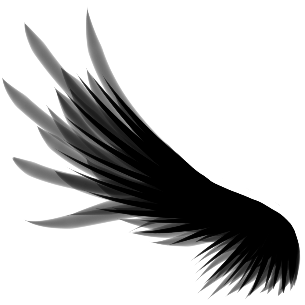 Wings Transparent PNG Image