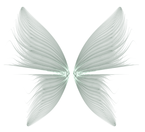 Wings Background Transparent PNG Image
