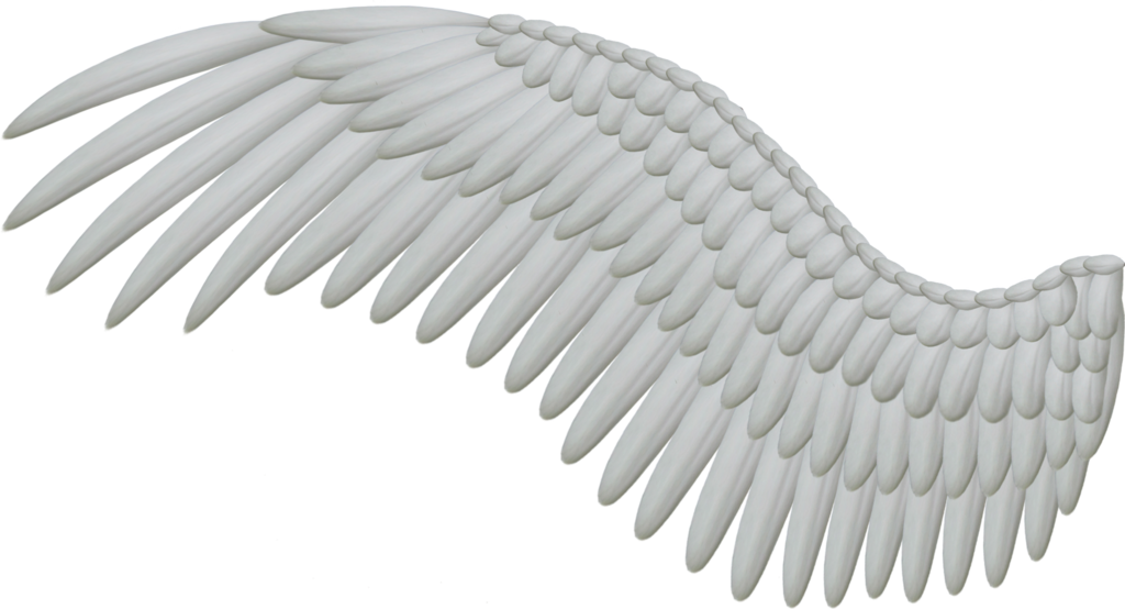 Wings Transparent PNG Image