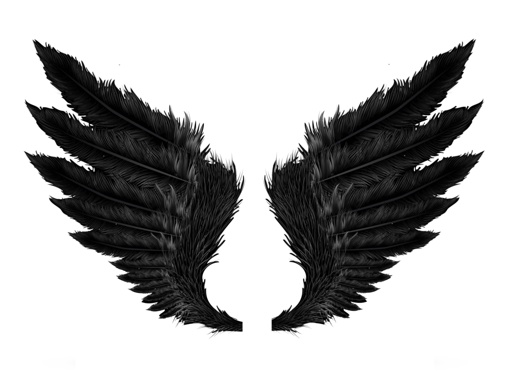 Wings Transparent PNG Image