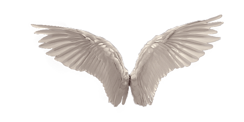 Wings Transparent PNG Image