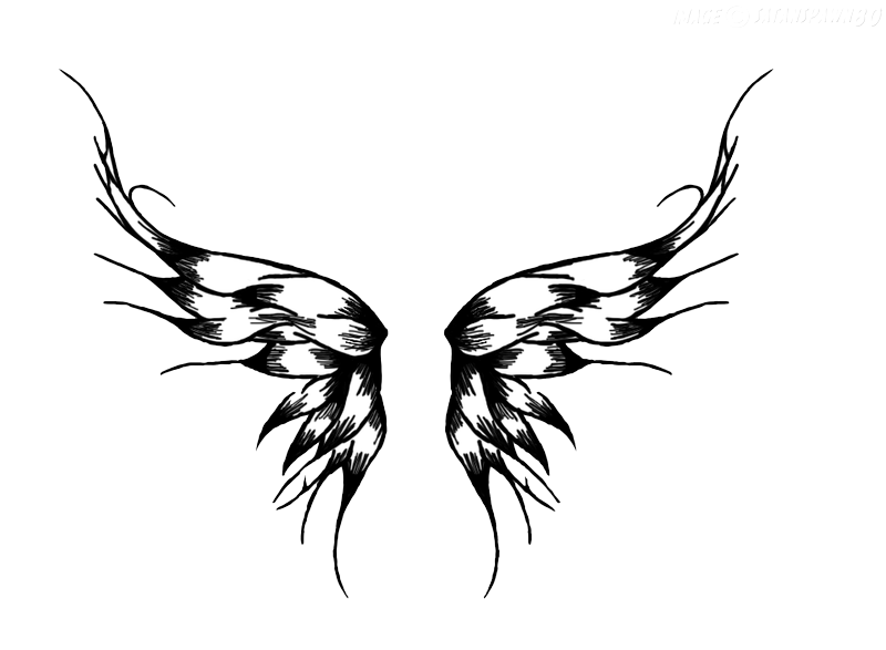 Wings Tattoos Transparent PNG Image