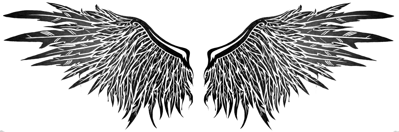 Wings Tattoos Transparent PNG Image