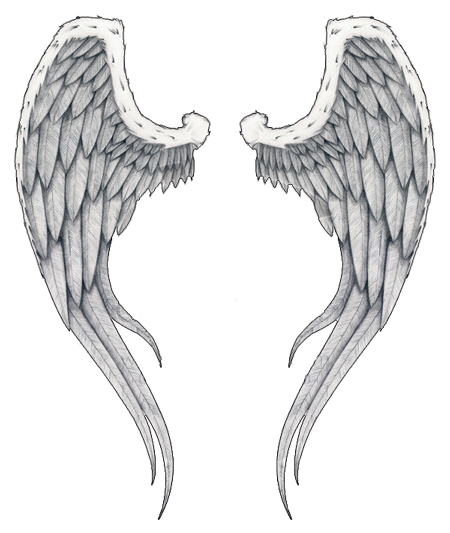 Wings Tattoos Transparent PNG Image