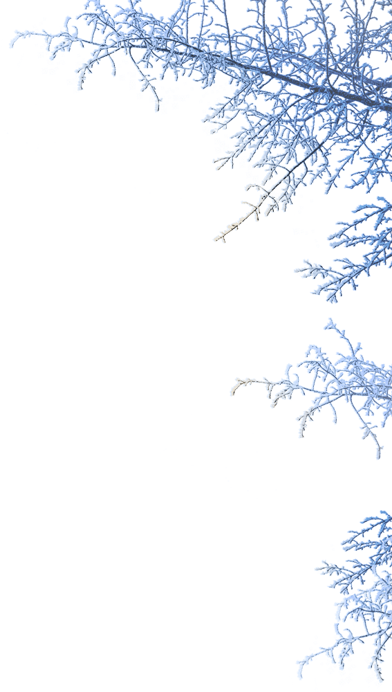 Winter Transparent PNG Image
