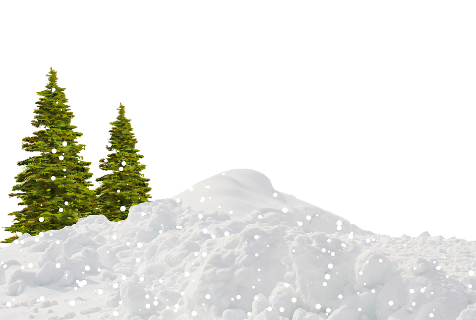 Tree Winter File Transparent PNG Image