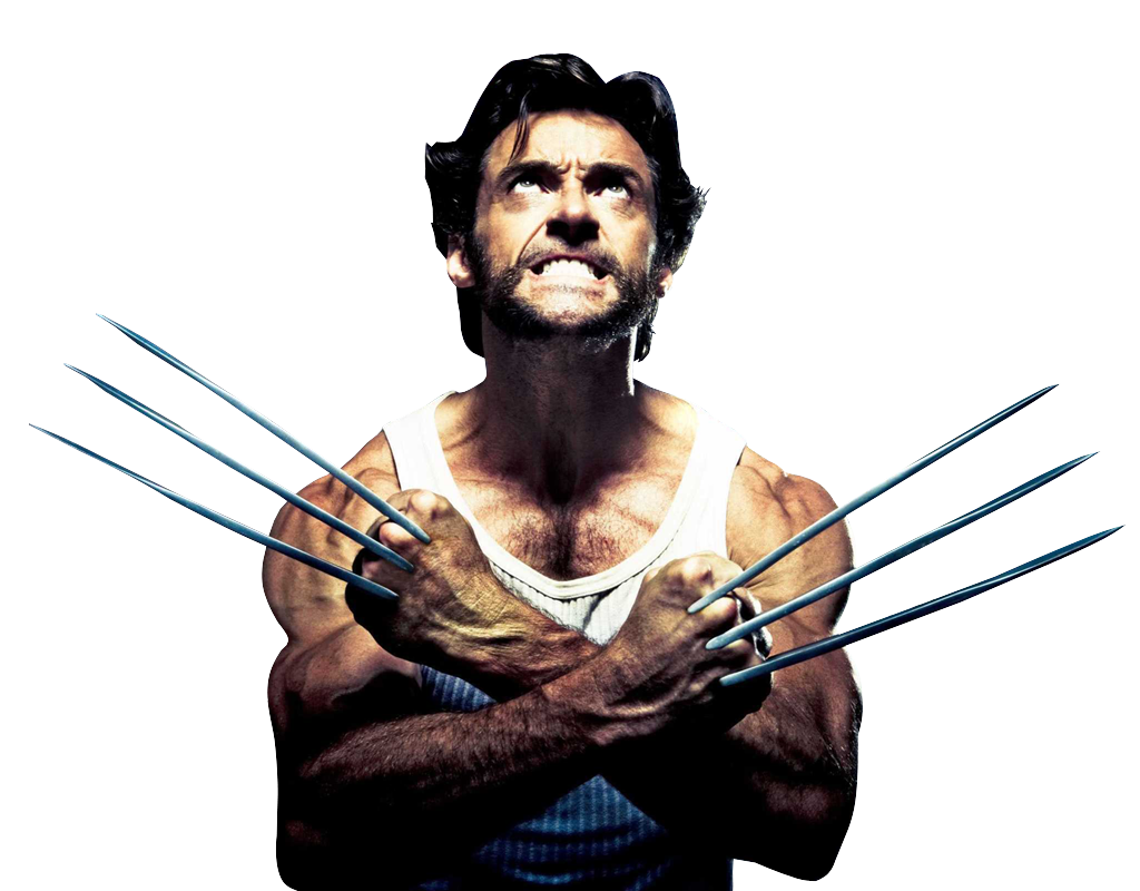Wolverine Transparent PNG Image