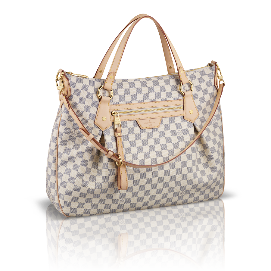 Handbag Ladies Transparent PNG Image