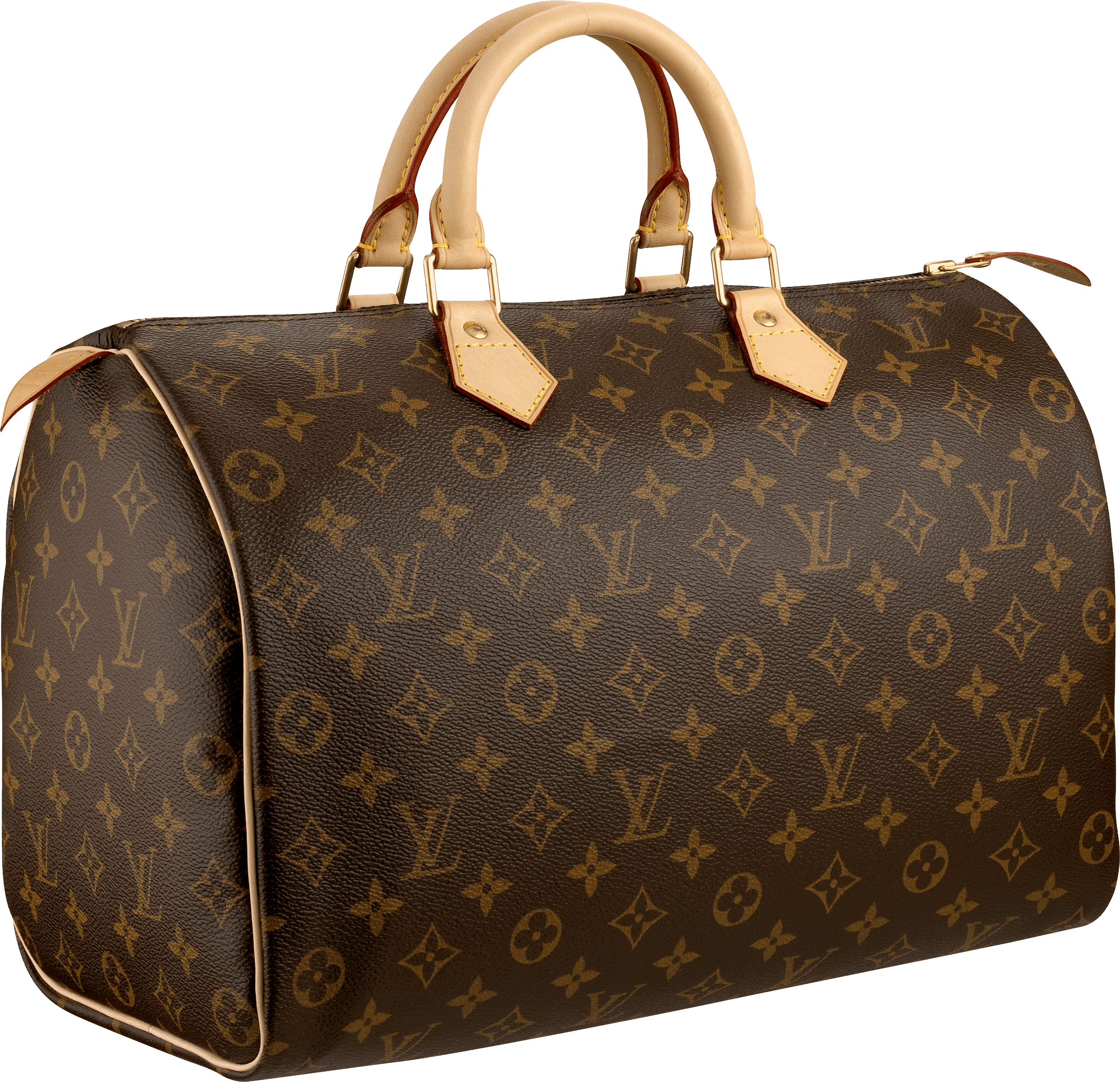 Louis Vuitton Women Bag Transparent PNG Image