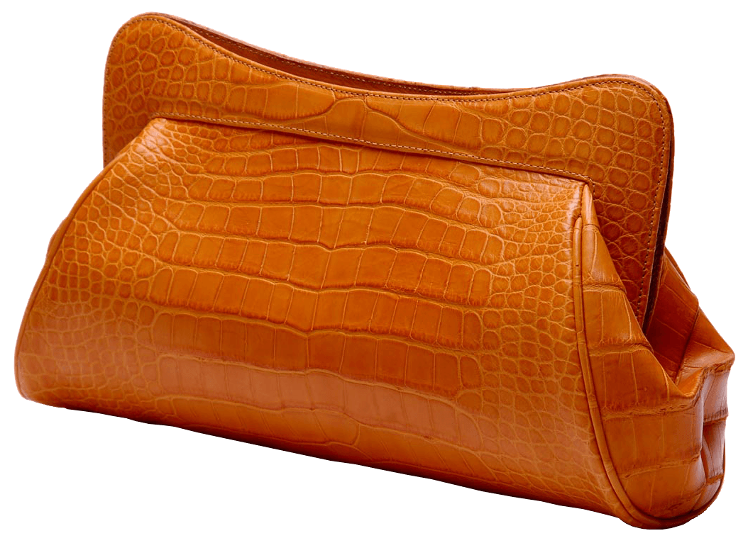 Leather Women Bag Transparent PNG Image