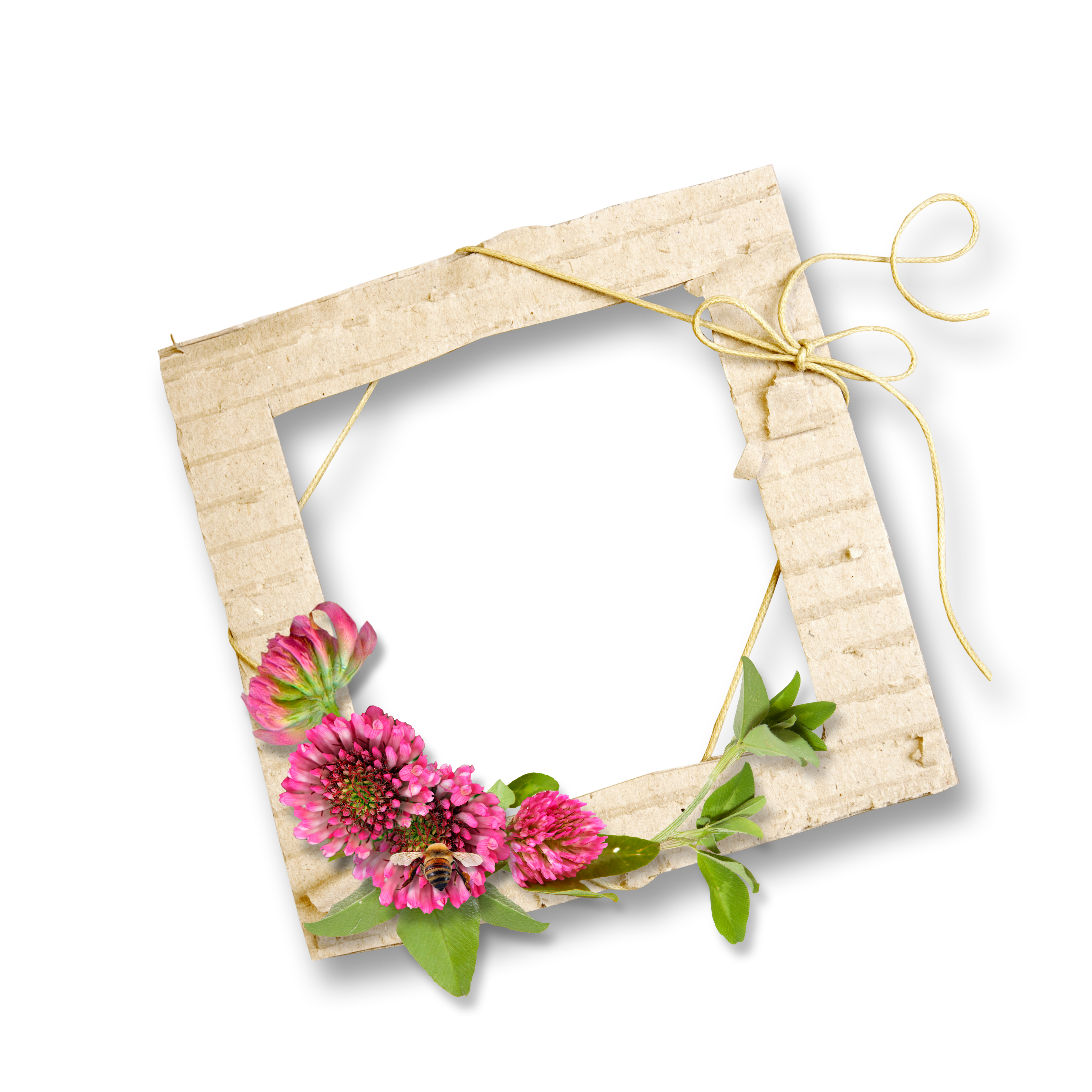 Frame Wood Framing Transparent PNG Image