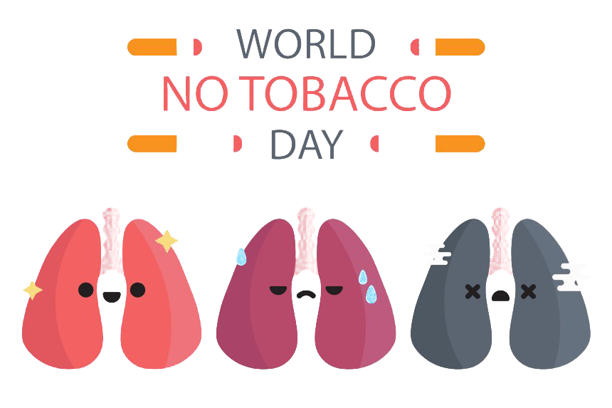 World Day Tobacco No Transparent PNG Image