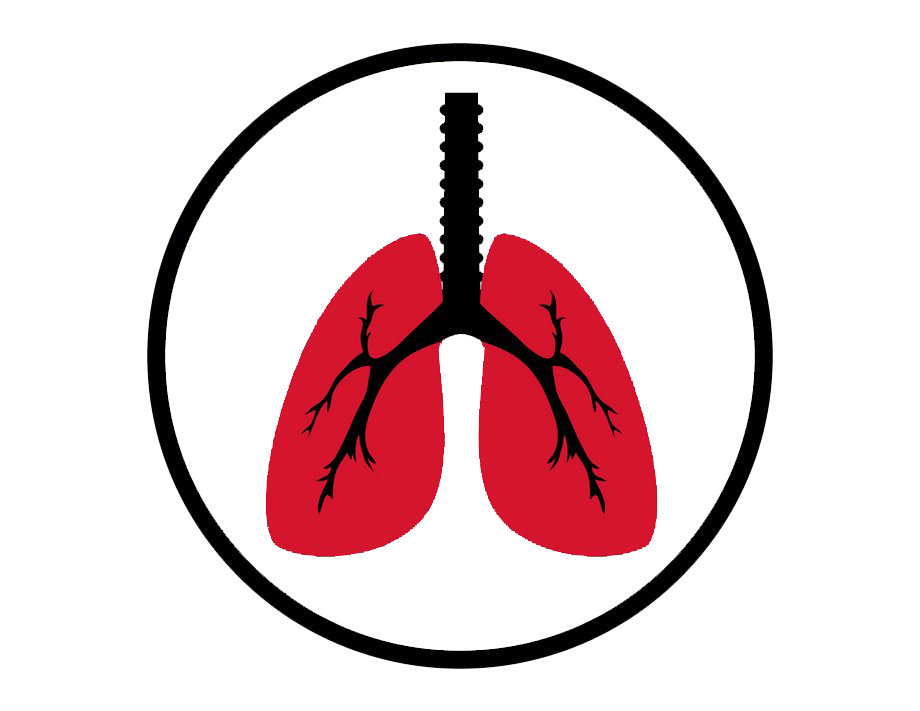World Day Tobacco No Transparent PNG Image