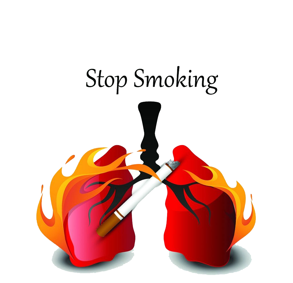 World Day Tobacco No Transparent PNG Image