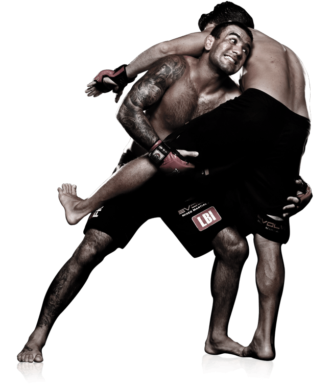 Wrestling Transparent PNG Image