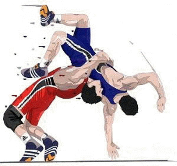 Wrestling Transparent PNG Image