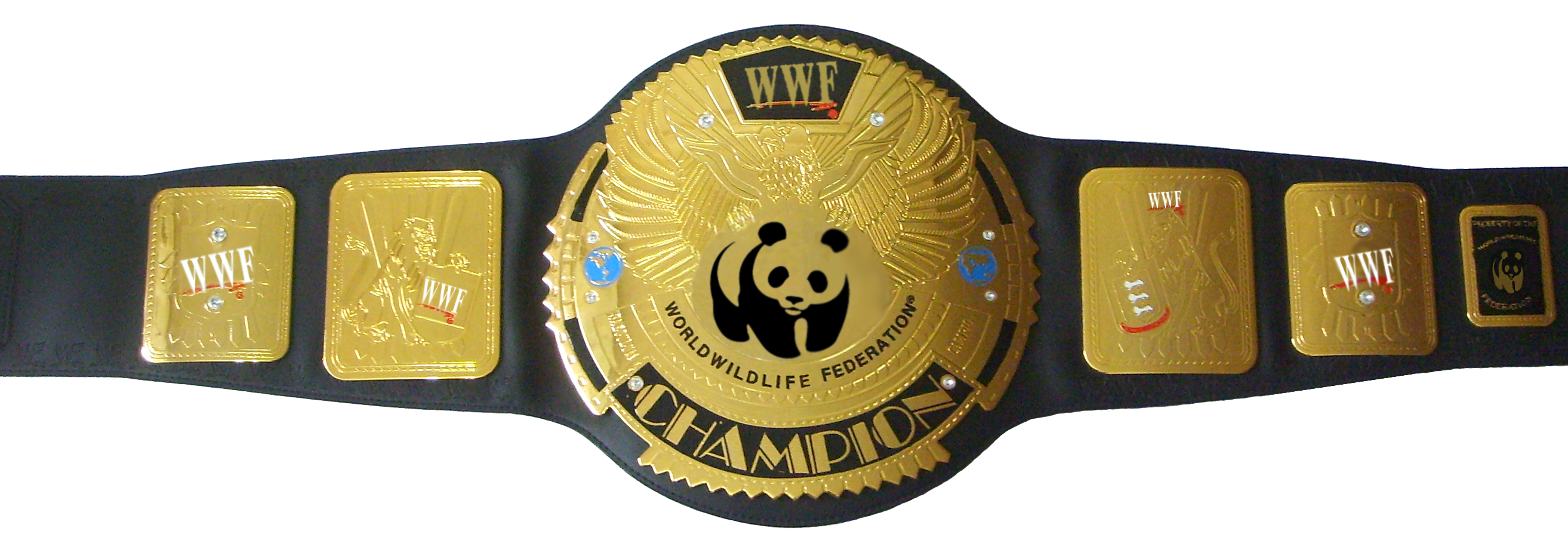 Wrestling Belt Background Transparent PNG Image