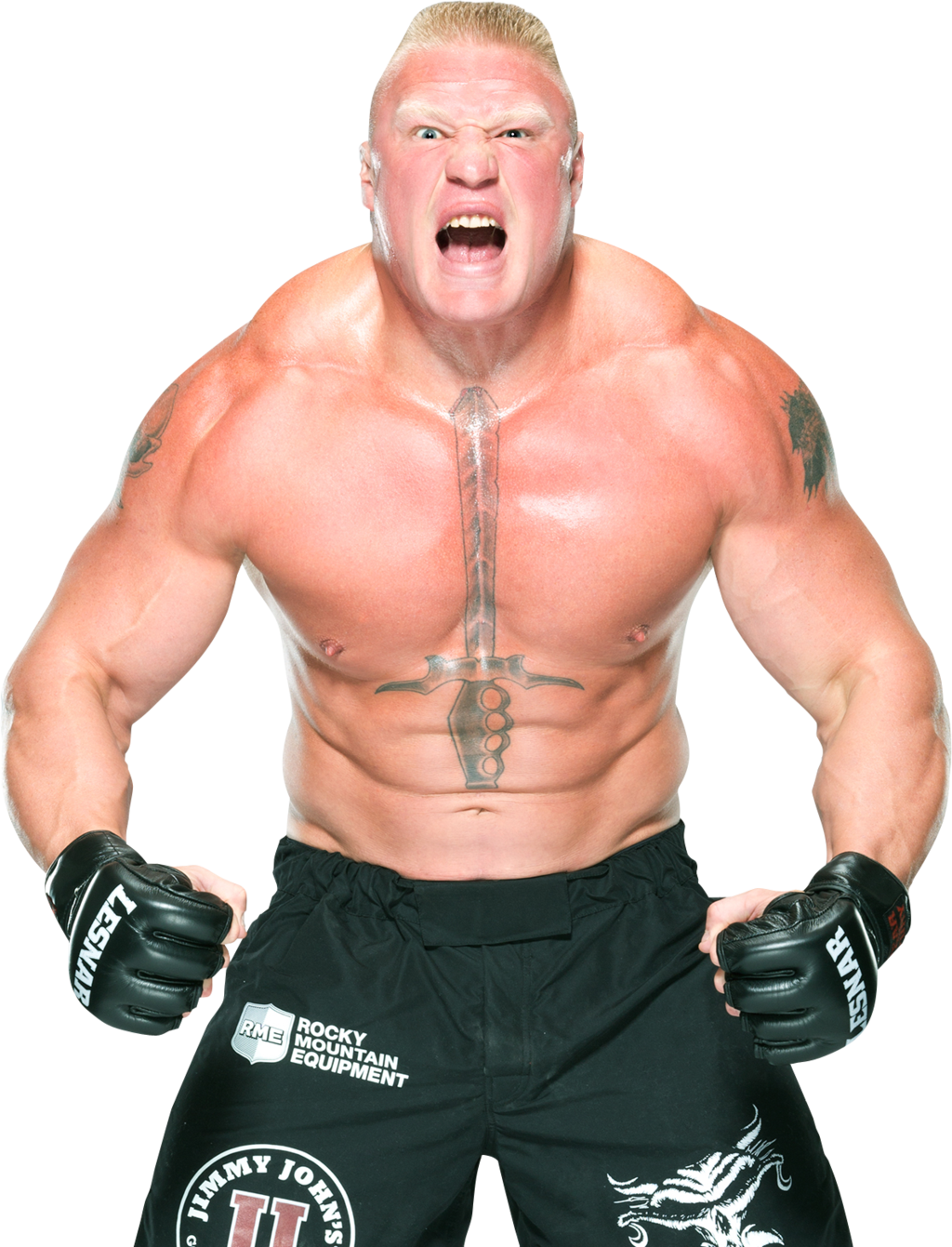 Brock Lesnar Background Transparent PNG Image