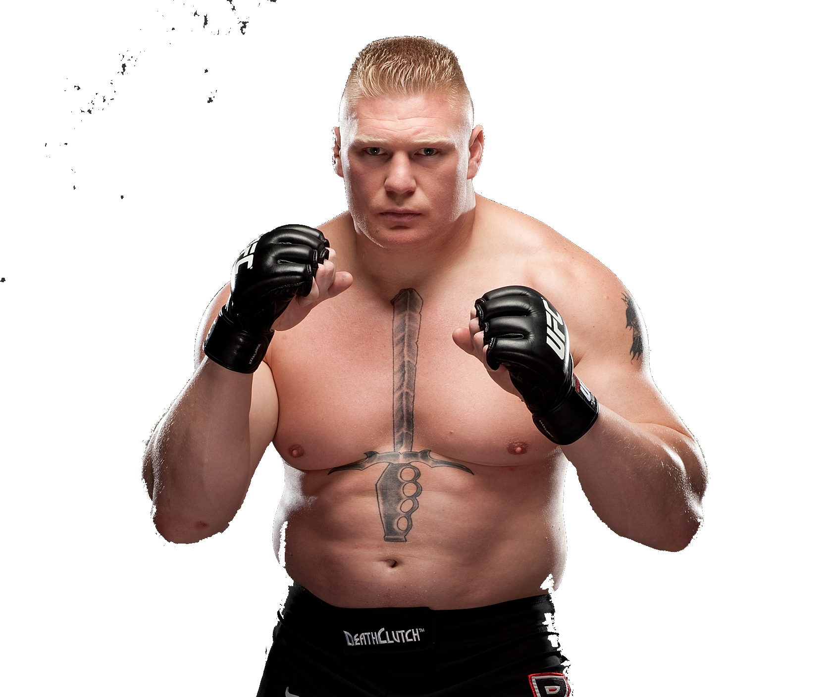 Brock Lesnar Transparent PNG Image