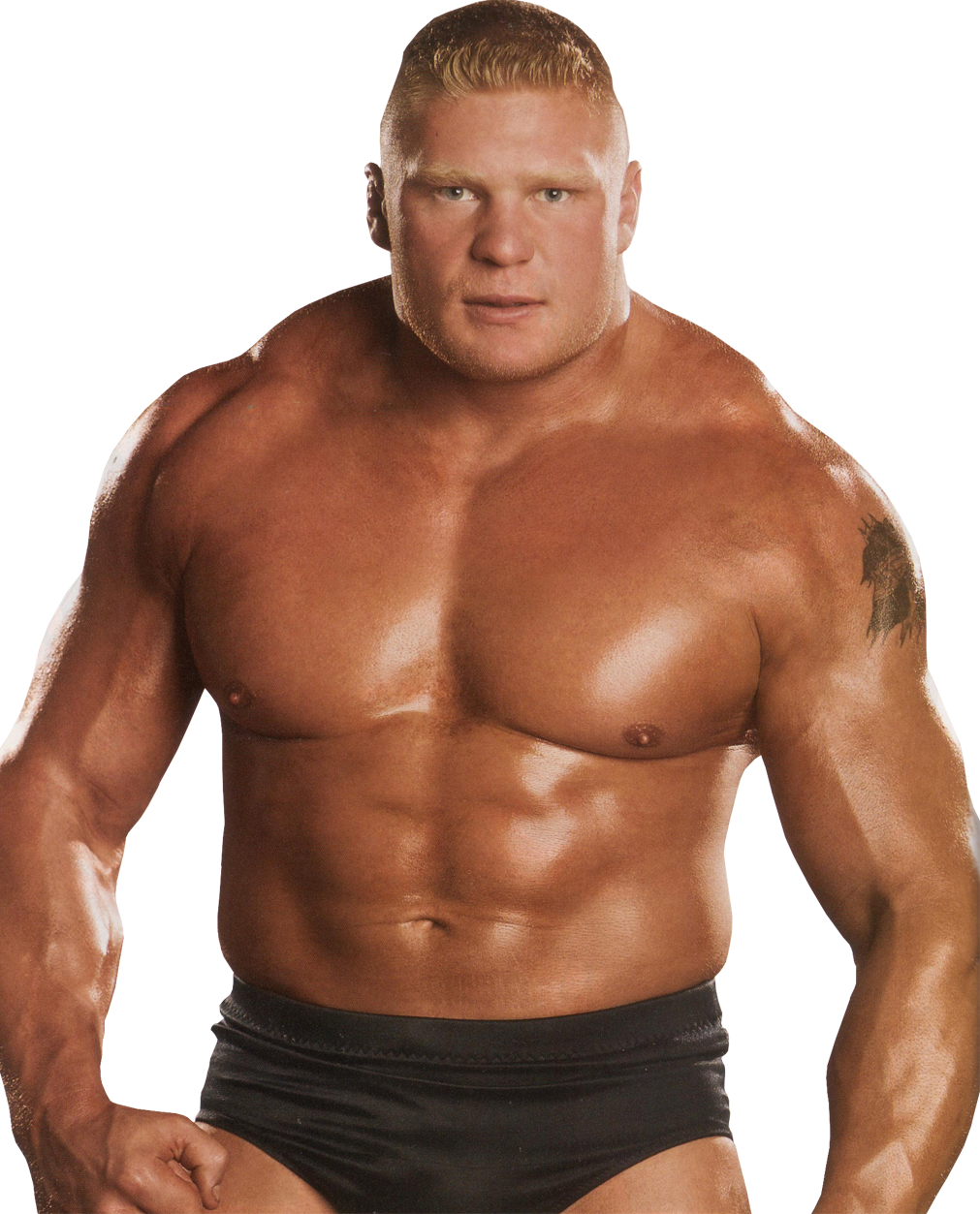 Brock Lesnar Transparent PNG Image