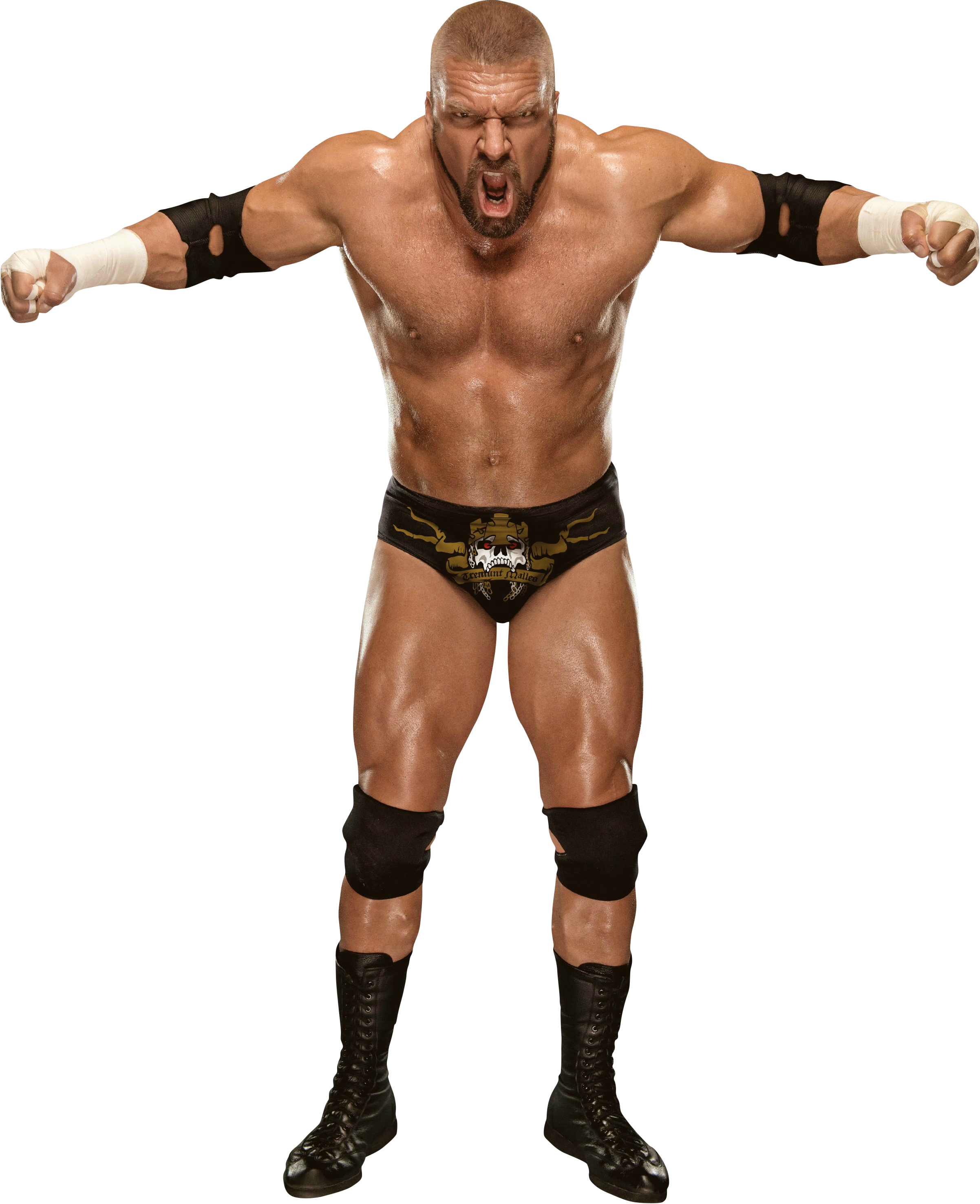 Triple H Transparent PNG Image