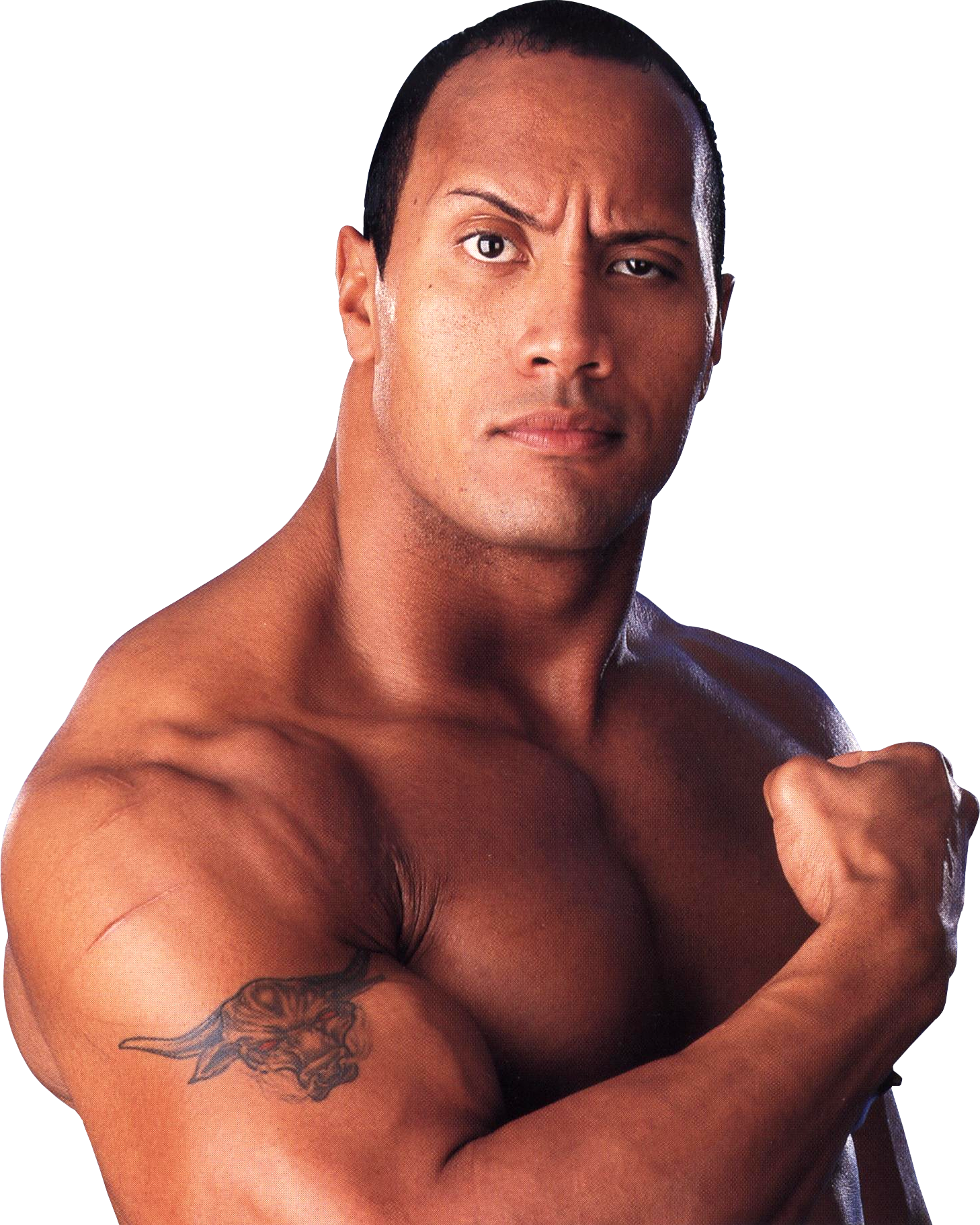 The Rock Transparent PNG Image