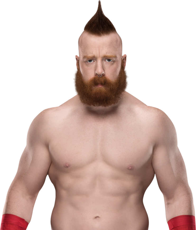Sheamus Background Transparent PNG Image
