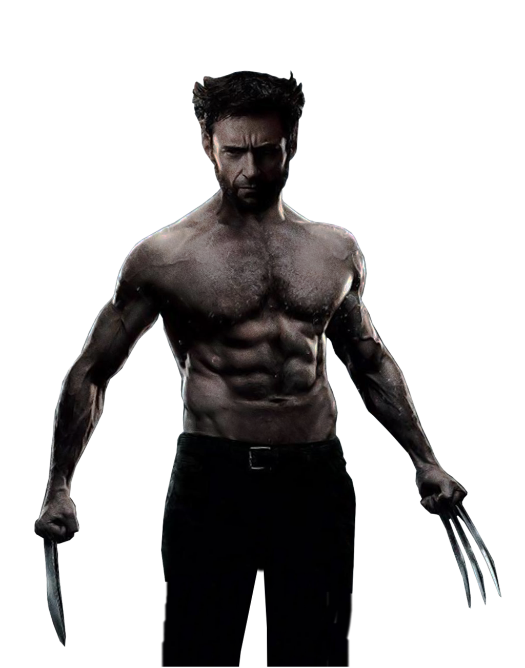 Wolverine Transparent PNG Image