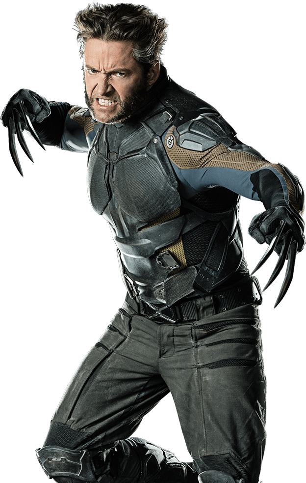 Wolverine Transparent PNG Image
