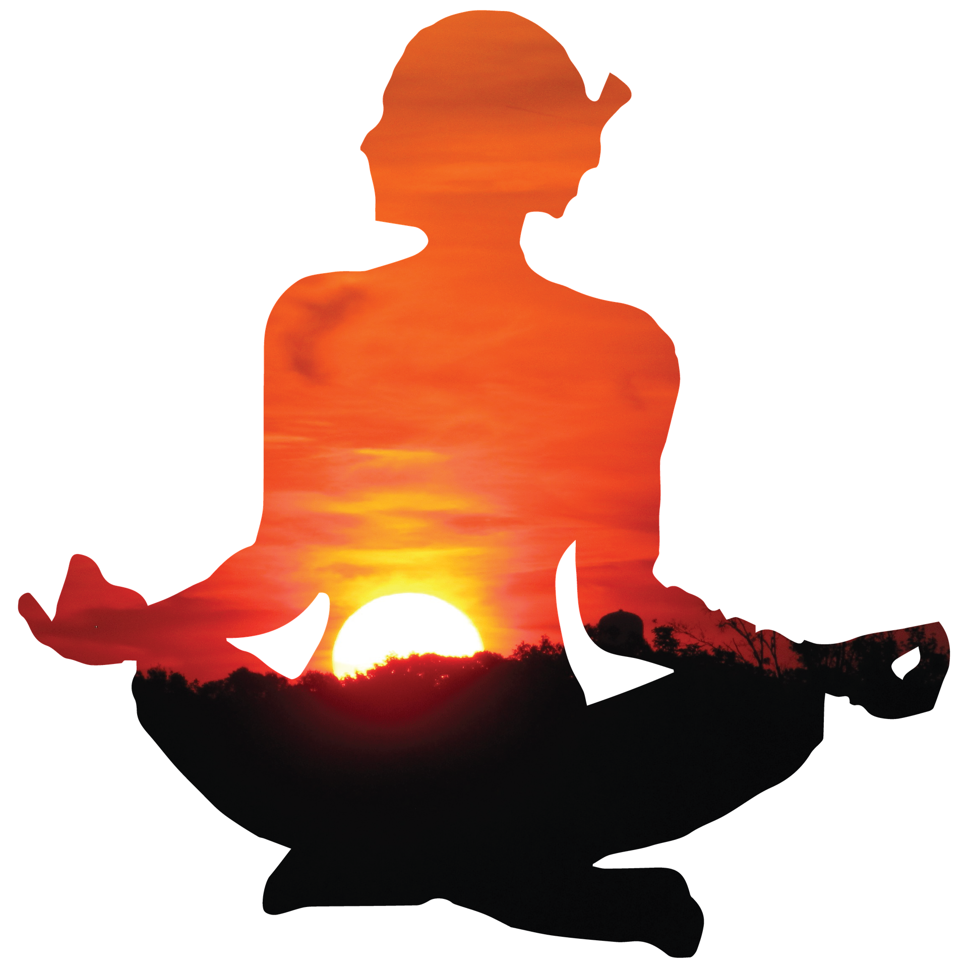 Sarvangasana Yoga Meditation Namaskara Surya Transparent PNG Image