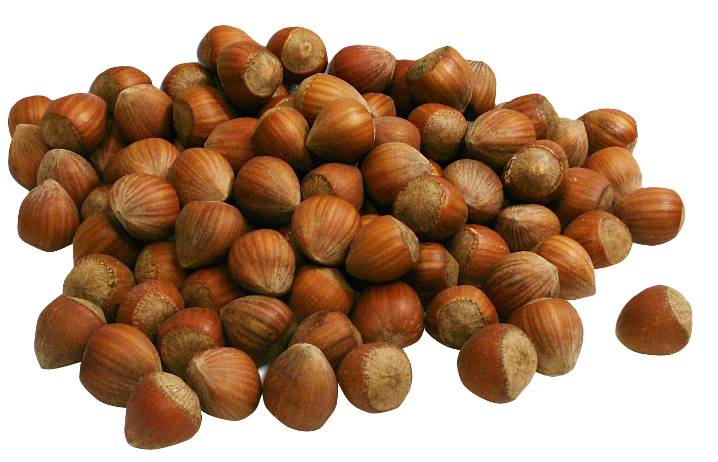 Edible Hazelnut Transparent PNG Image